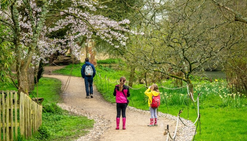 Blossom at The Vyne